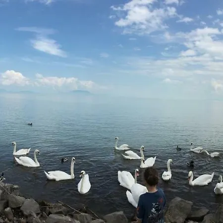 Dom wakacyjny Maximilian Balatonkeresztúr