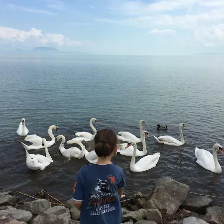 Maximilian Dom wakacyjny