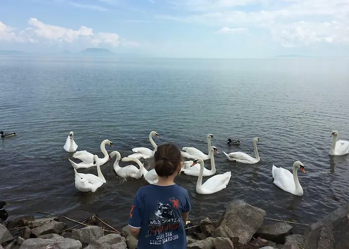 Maximilian Prázdninový dům